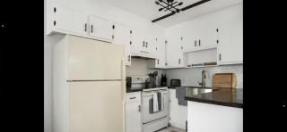 The PanAm fire pit bbq kid & dog friendly - 1