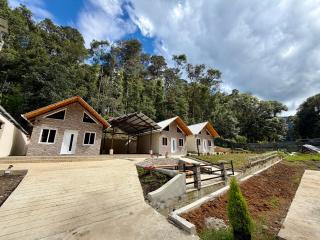 Bungalows Bosque Selah - 6