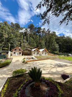 Bungalows Bosque Selah - 3