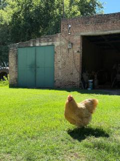 Casa Quinta en Colonia Caroya - 5