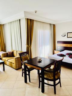 Stylish & Cozy 50 m2 Studio Chalet in the Sunset Pearl Apartments - 0