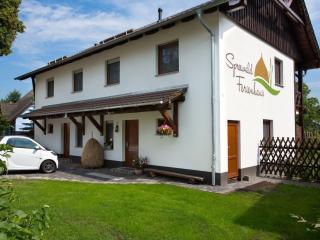 Holiday apartment in Lübben with barbecue - 9