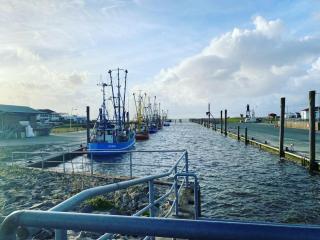 Holiday apartment with 1 bedroom - 1