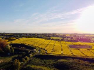 Holiday home treehouse Weissenhäuser Strand - 4