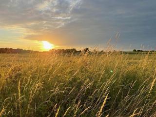 Holiday home treehouse Weissenhäuser Strand - 5
