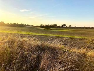 Holiday home treehouse Weissenhäuser Strand - 3