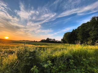 Holiday home treehouse Weissenhäuser Strand - 6