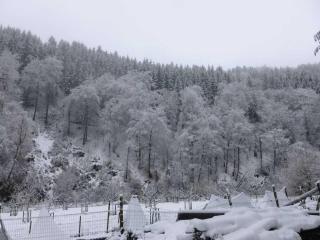 Neumühle from April 2014! - 6