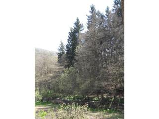 Main building Neumühle - 8