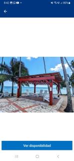 Atardecer Albatros - 2