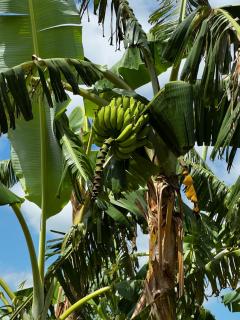 Prédio do Jesse - 4