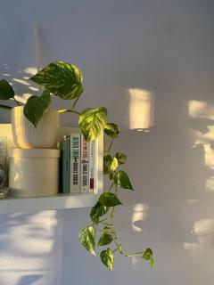 Moonbeam Hotel23 - 2