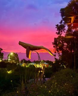 Sanarte en la naturaleza - 8