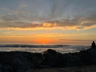 Sanarte en la naturaleza - 4