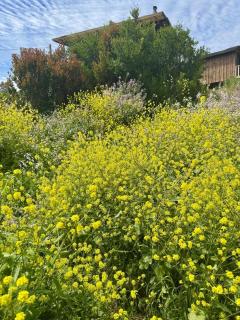 Sanarte en la naturaleza - 2