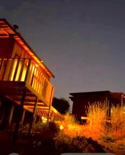 Sanarte en la naturaleza - 1