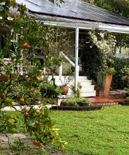 Celestial Dew Guesthouse in Tyalgum - Tyalgum - 8