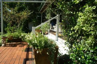 Celestial Dew Guesthouse in Tyalgum - Tyalgum - 4