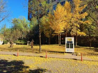 Ultimate Theme Apartment Global Resort Store - 8