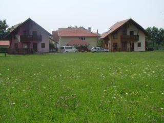 Colt de Rai - Covasna - 3