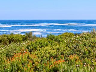 iMoyo Ocean Villa Hermanus - 5