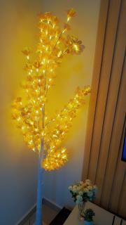 Havre de paix et tranquillité - 4