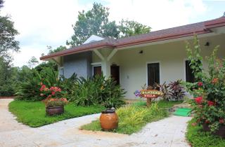 Madagui Forest City - 7