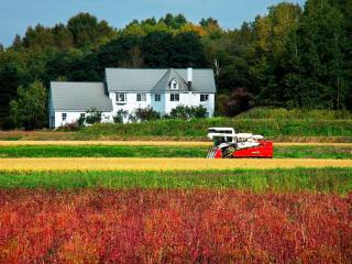 Asahikawa - House - Vacation STAY 78092v - 3