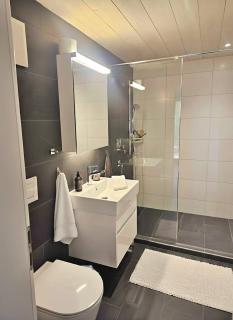 Seeblick vom Bett • 20min nach Interlaken - 1