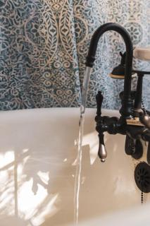 Lush Venice Beach Oasis Home -just steps to beach - 5