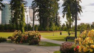 2 bedroom heart of Central Surrey - 7