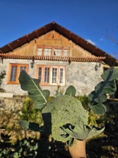 Sen Sapa Retreat & Tours - 9