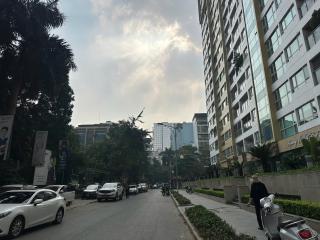 Hoa Hải Đường 602TM1 - 7