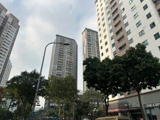 Hoa Hải Đường 602TM1 - 8