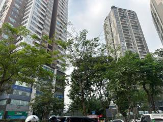 Cà Mau 301TK27H - 7