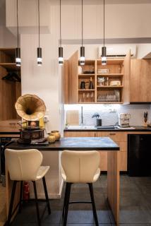 Opulent Maria Callas-Themed Apartment in Kolonaki, Central Athens - 7