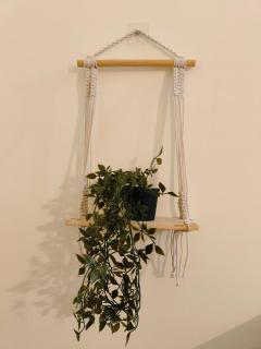 Lavish homes - Orange Oasis - 7