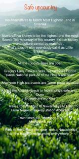 Serendipity Lake Artistic Bungalow by Heidis Home - 7