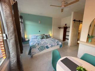 Remodeled Studios on Calle Adelita, Madera - 1