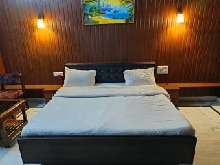 Satkar palace hotel - 7