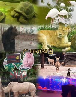 和平行旅·女生独栋青旅（北京路店） - 1