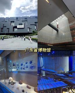 和平行旅·女生独栋青旅（北京路店） - 5