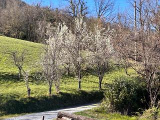 Private secluded villa for 20 guests on large private estate - Cairo Montenotte - Tenniscourt - Savone - 7