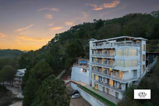 Blackpearl Sparklewoods - 7