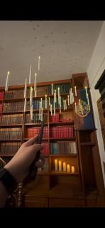 VELAMUNDi INN Batu Ferringhi - 8