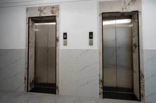 Luxurious Furnished Apartment next toJunction mall - 1