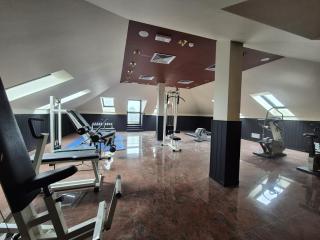 Hotel Excelsior Magenta - 7