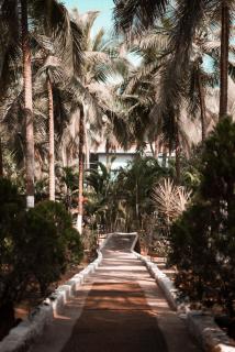 The Rosewood by Advaya - 3