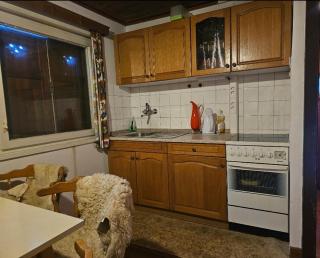 Old Romantic Wooden Cottage Jasna - 3