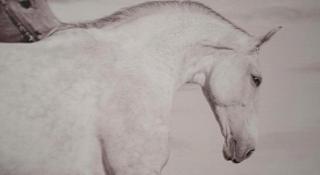 Jun Hotel Guangxi Wuzhou Changzhou District Fengye Garden - 4